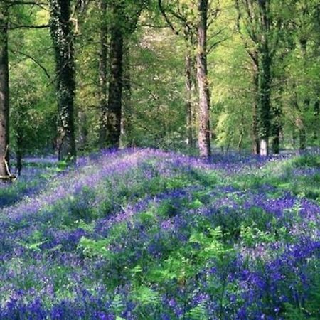 The Cider House Holiday Cottage Welsh Newton Common 외부 사진