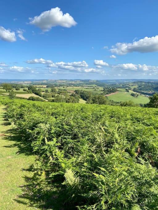 The Cider House Holiday Cottage Welsh Newton Common 외부 사진